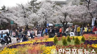 [크기변환](참고사진)2019년 봄꽃축제.jpg
