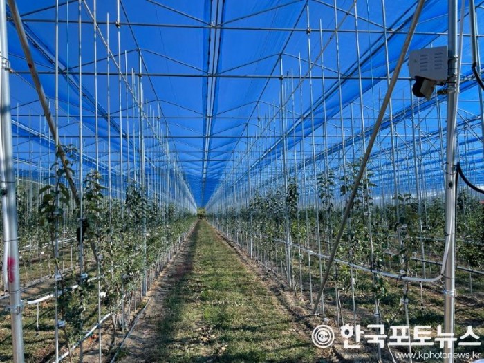 0219 안동시 농업  미래로 세계로 향한다 (6)-노지스마트농업.JPG