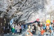 2023 안동 벚꽃축제, 4월 1일부터 닷새간 개최