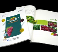 경북 신품종 포도 재배 기술 보급으로 수출 경쟁력 향상